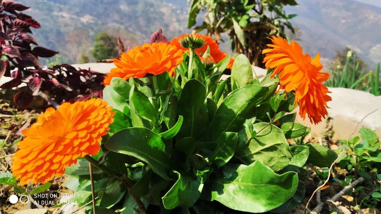 Patlekhet Eco Farmhouse Dhulikhel Exterior foto